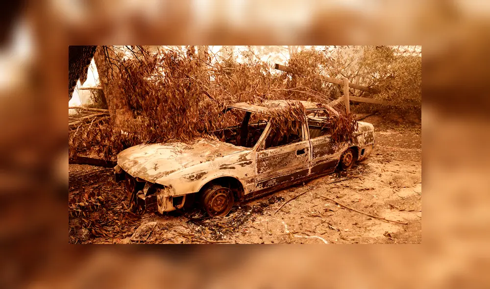 Incendio forestal en Australia Incendio forestal en Australia