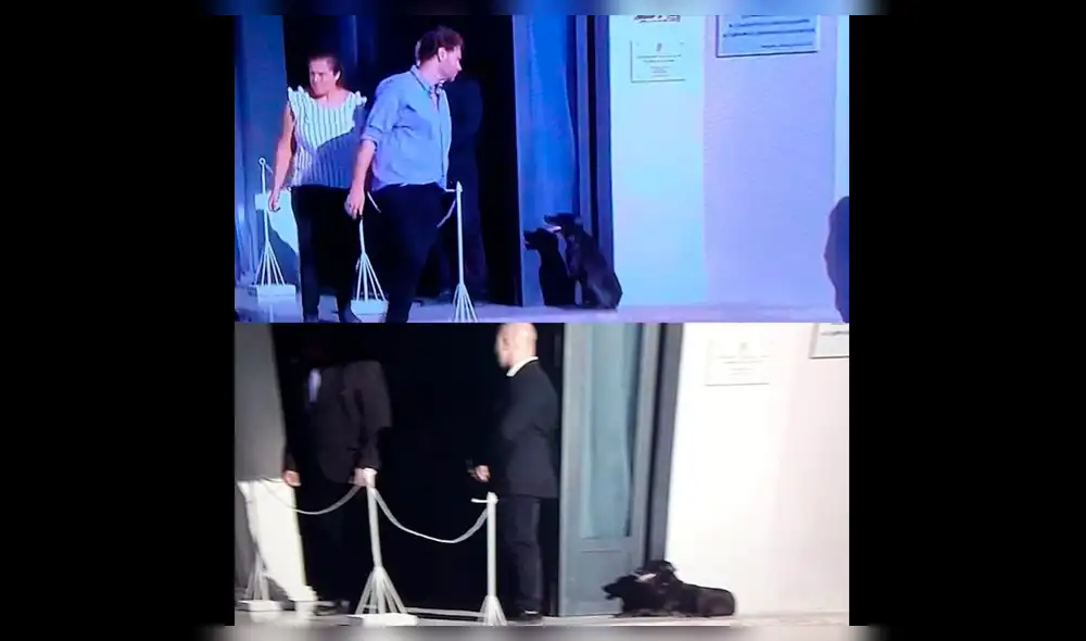 Emiliano Sala: ‘Nala’, su mascota aparece en el velatorio para despedirse [FOTOS]