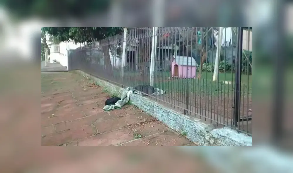 Desliza para conocer a los protagonistas de esta historia que se viralizó en YouTube y otras redes sociales. Foto: Captura. Desliza para conocer a los protagonistas de esta historia que se viralizó en YouTube y otras redes sociales. Foto: Captura.