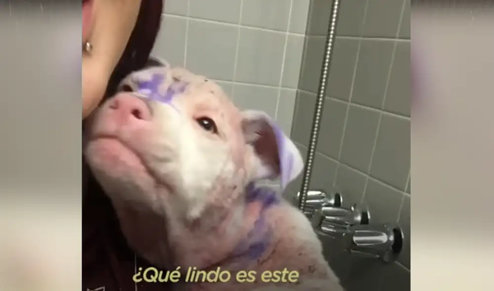 Desliza hacia la izquierda para ver las imágenes del video viral. Foto: Captura de YouTube. Desliza hacia la izquierda para ver las imágenes del video viral. Foto: Captura de YouTube.
