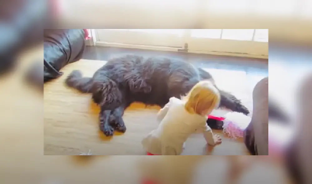 Desliza las imágenes para ver más detalles sobre este tierna escena.