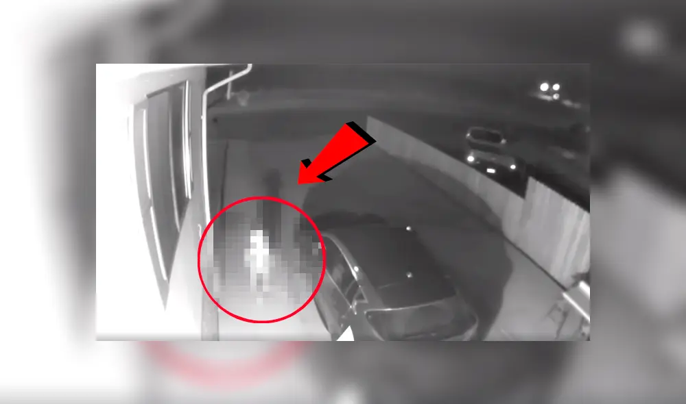 Facebook viral: Terrorífica criatura genera pánico tras ser captada por cámara de seguridad [VIDEO]