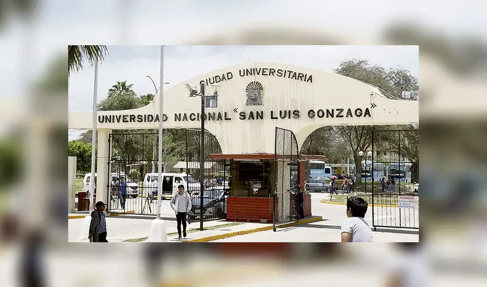 Denegadas. Estas serán incorporadas a un Plan General Integral a su favor. Denegadas. Estas serán incorporadas a un Plan General Integral a su favor.