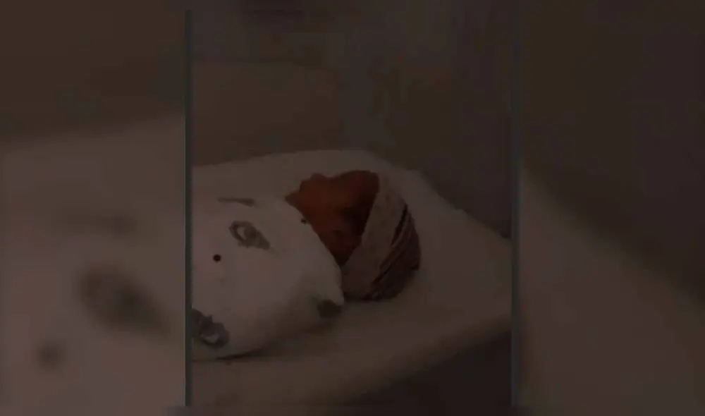 Ricardo Morán presume eterno recuerdo junto a sus hijos [VIDEO]