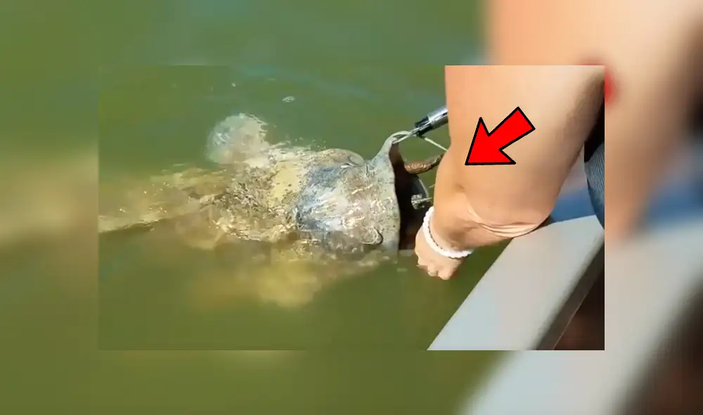 YouTube viral: gigantesco 'pez gato' aparece y encuentran increíble criatura en su interior [VIDEO]