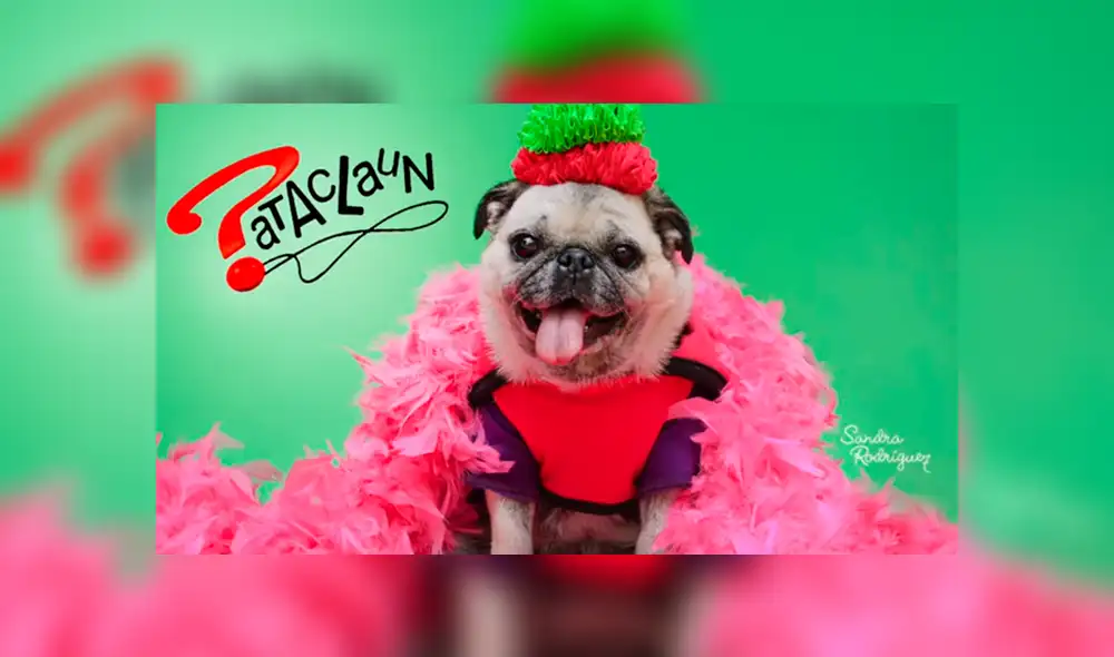 Mascota de Queca es fotografiada vestida de Queca. Foto: Sandra Rodríguez