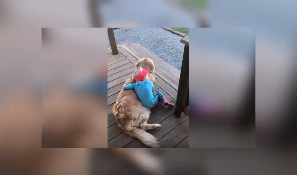 Desliza las imágenes para observar la sentimental escena protagonizada por una niña junto a su perro. Desliza las imágenes para observar la sentimental escena protagonizada por una niña junto a su perro.