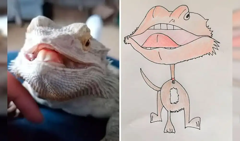 Desliza las imágenes hacia la izquierda para apreciar los dibujos de animales realizados por un joven. Fotos: Pet Portraits By Hercule.