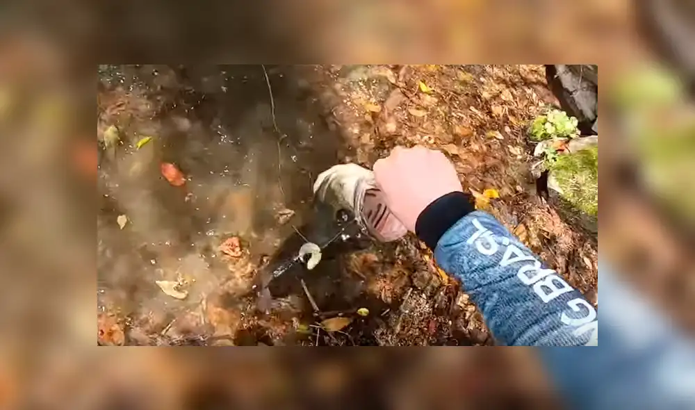 Pescador emerge su mano dentro de un misterioso río de Brasil. Pescador emerge su mano dentro de un misterioso río de Brasil.