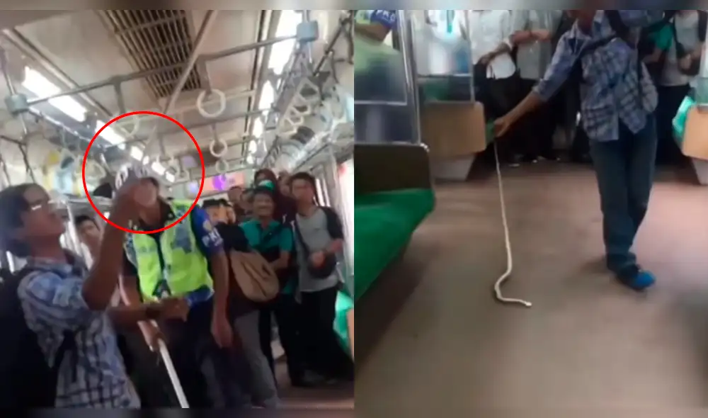 YouTube: Indonesio mató a serpiente con sus manos y sorprendió en la red [VIDEO]