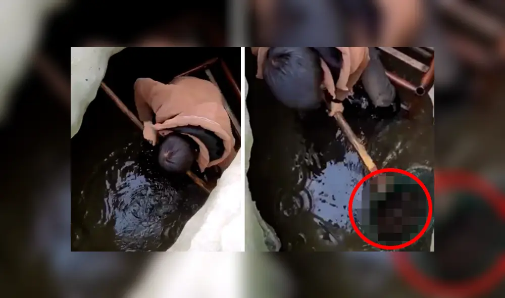 Facebook viral: Niño entra a pozo y descubre 'aterradoras' criaturas que sorprenden a miles [VIDEO]