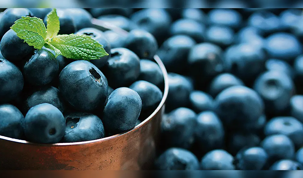 Paltas y arándanos lideraron la canasta agroexportadora peruana durante el 2017 Paltas y arándanos lideraron la canasta agroexportadora peruana durante el 2017