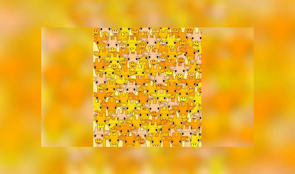 Desliza las imágenes para ver el lugar en el que se ocultó el travieso 'Baby Yoda' en este reto visual. Foto: Facebook