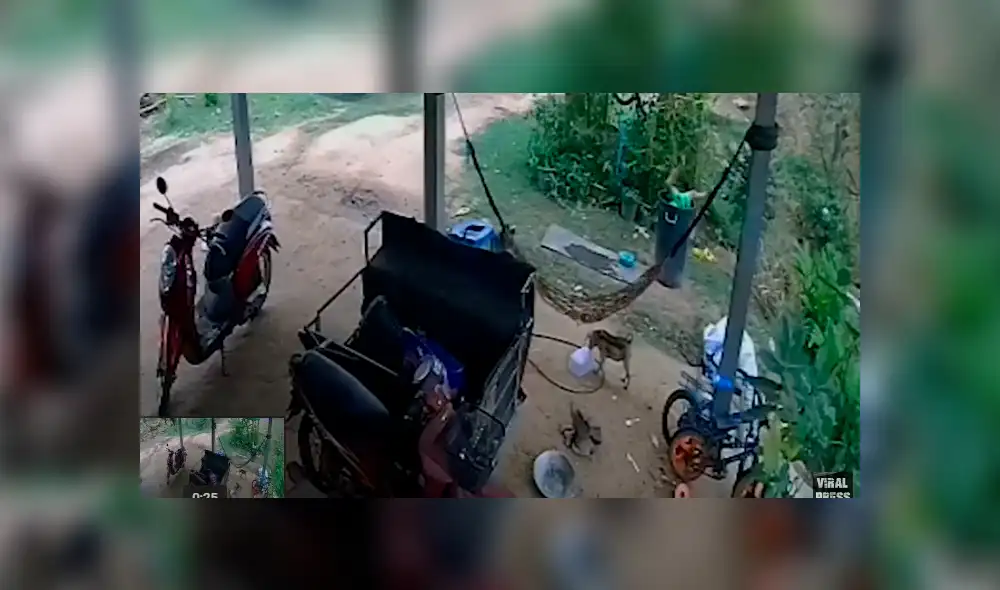 Desliza para ver los detalles del video viral publicado en YouTube. Foto: Captura.