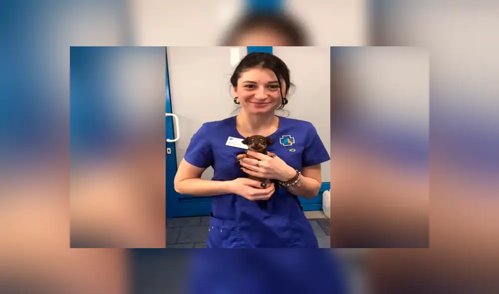 Desliza para ver los momentos más tiernos del video que se hizo viral en Facebook.