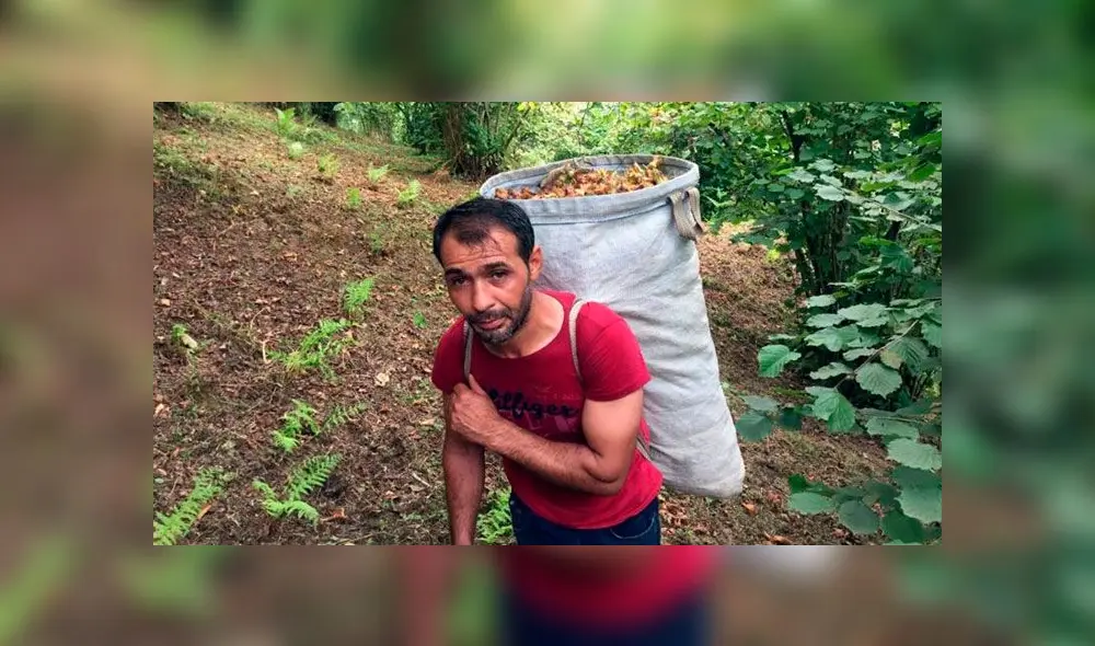 Ferrero Rocher explota a niños para recoger las avellanas de sus chocolates, denuncia grupo de derechos humanos. Foto: BBC