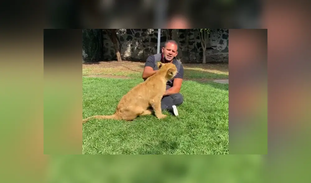 Desliza hacia la izquierda para ver las imágenes del viral de Youtube. Foto: Captura. Desliza hacia la izquierda para ver las imágenes del viral de Youtube. Foto: Captura.