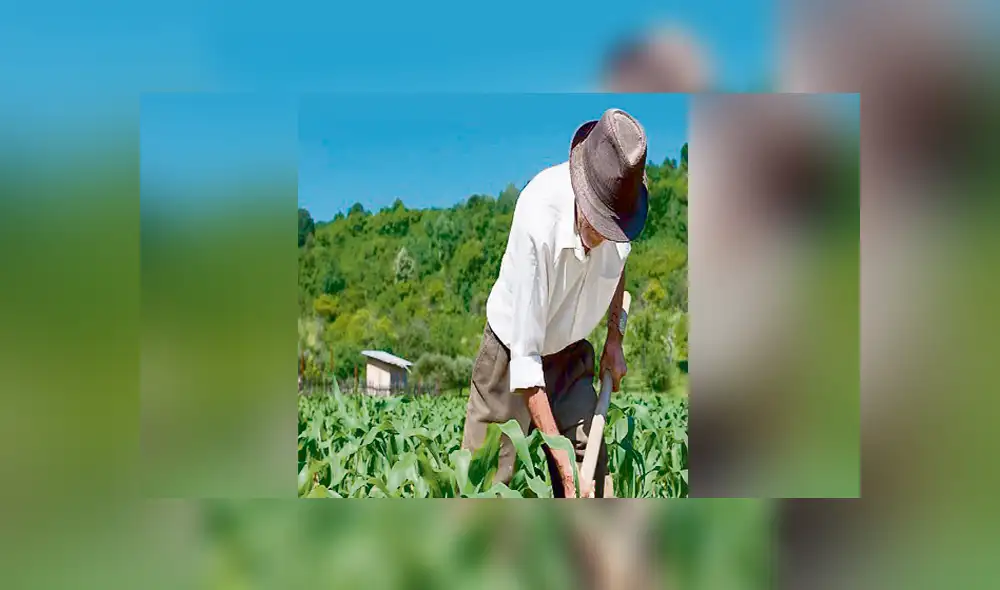 BCRP a favor de que Mi Agro sea supervisada por la SBS 