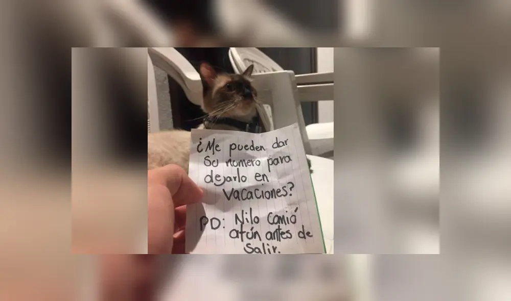 Desliza la imagen compartida en Facebook para verlas todas.