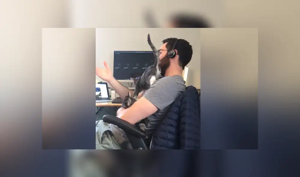 A través de YouTube se hizo viral el divertido momento en que un gato interrumpe a su dueño mientras trabaja.