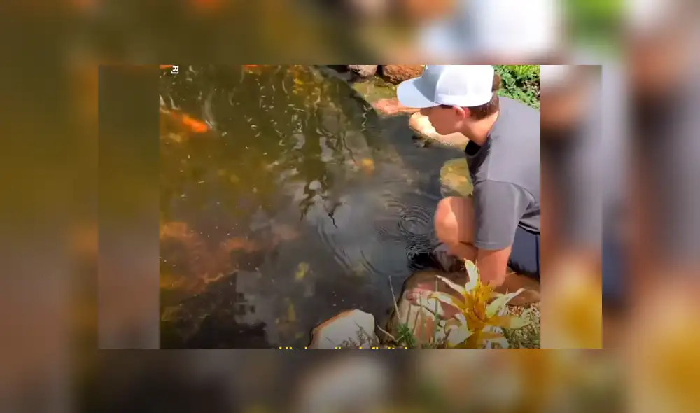 El protagonista del video viral de Facebook atrapó a una letal criatura. El protagonista del video viral de Facebook atrapó a una letal criatura.