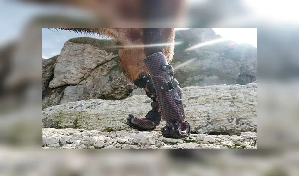 A health worker stops motorists to take swab samples for testing for the Covid-19 coronavirus at a testing camp in a residential area, in Chennai on August 30, 2020. - India on August 30 set a coronavirus record when it reported 78,761 new infections in 24 hours -- the world's highest single-day rise -- even as it continued to open up the economy. (Photo by Arun SANKAR / AFP) A health worker stops motorists to take swab samples for testing for the Covid-19 coronavirus at a testing camp in a residential area, in Chennai on August 30, 2020. - India on August 30 set a coronavirus record when it reported 78,761 new infections in 24 hours -- the world's highest single-day rise -- even as it continued to open up the economy. (Photo by Arun SANKAR / AFP)
