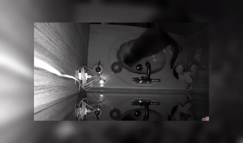 Desliza hacia la izquierda para descubrir lo que hacía un gato que se ha vuelto viral en YouTube.