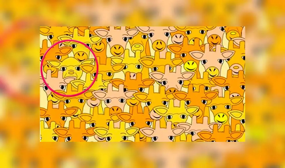 Desliza las imágenes para ver el lugar en el que se ocultó el travieso 'Baby Yoda' en este reto visual. Foto: Facebook