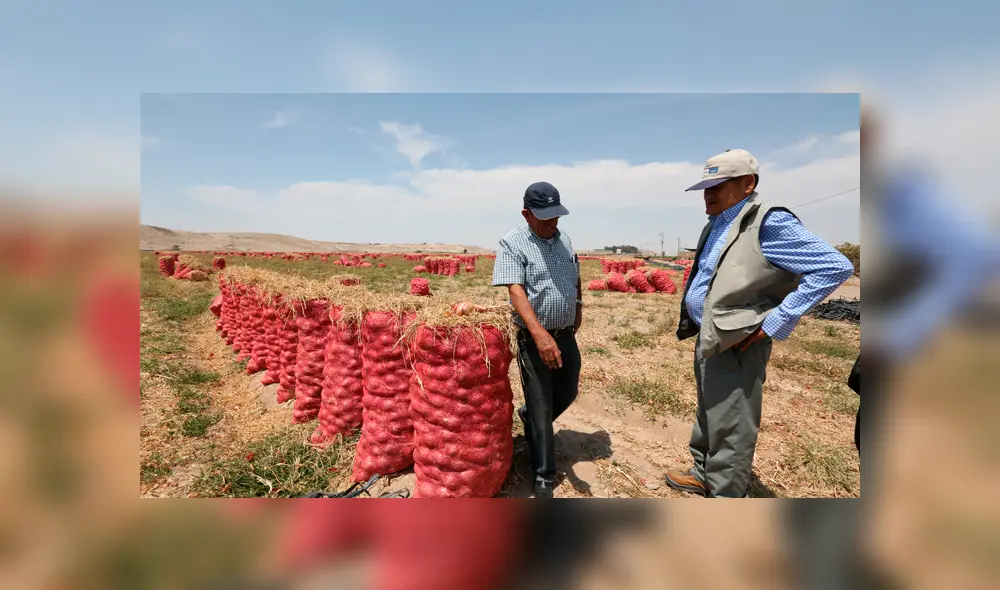 Bono Rural de 760 soles Bono Rural de 760 soles