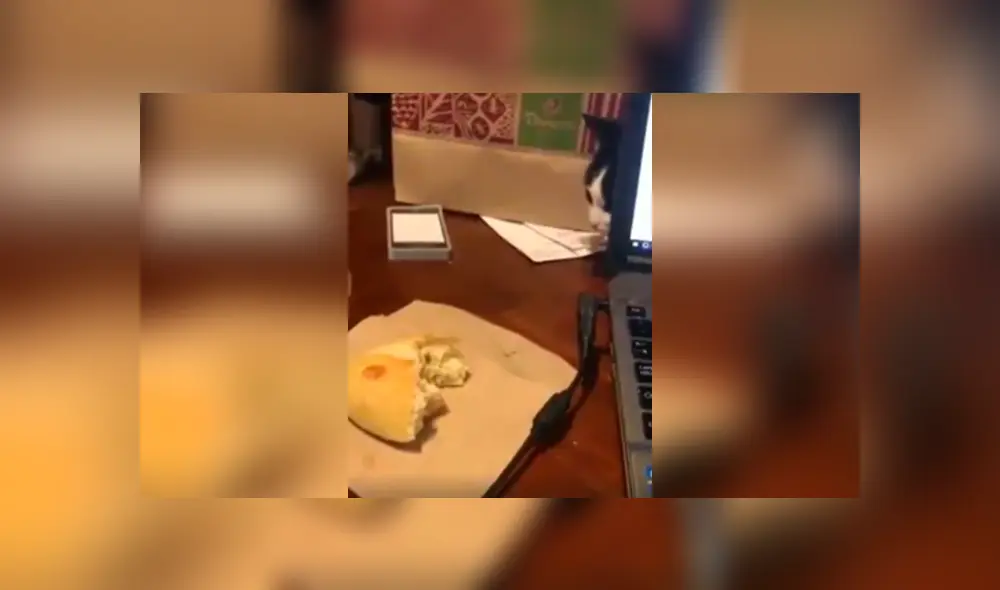 Desliza las imágenes hacia la izquierda para apreciar la sorpresa que se llevó un joven saber quien se robaba sus panes. Desliza las imágenes hacia la izquierda para apreciar la sorpresa que se llevó un joven saber quien se robaba sus panes.