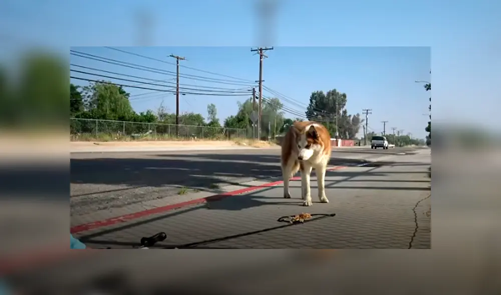 Desliza hacia la izquierda para ver las imágenes del viral de YouTube. Desliza hacia la izquierda para ver las imágenes del viral de YouTube.