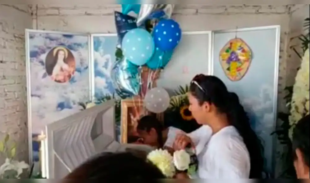 Falleció el bebé de 10 meses que fue mordido por una araña violinista Falleció el bebé de 10 meses que fue mordido por una araña violinista