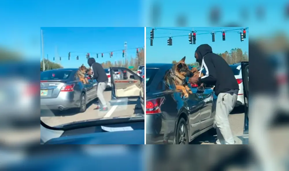 El hombre se bajó del carro para que la perrita la vea por última vez. Foto: captura
