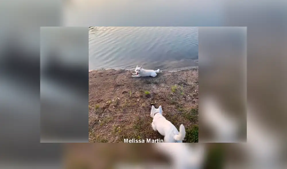 Desliza para ver los detalles de esta triste historia de Facebook. Foto: Captura.