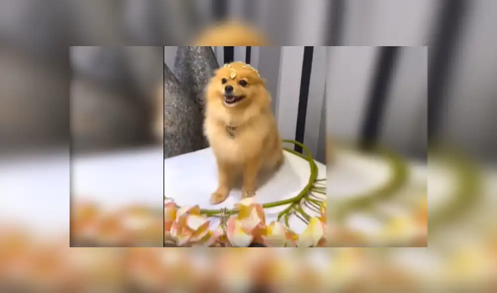 Desliza las imágenes para ver más detalles de este increíble cambio de look que es viral en Facebook. Desliza las imágenes para ver más detalles de este increíble cambio de look que es viral en Facebook.