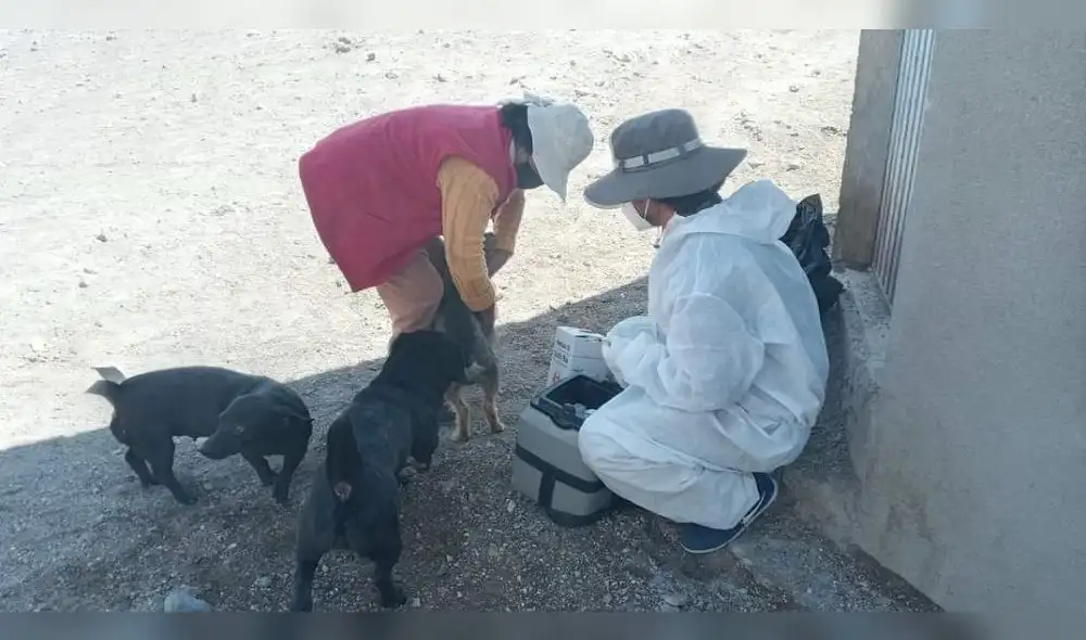 Autoridades de Salud iban a realizar este sábado una campaña de vacunación contra la rabia en Cayma. Foto: Geresa.