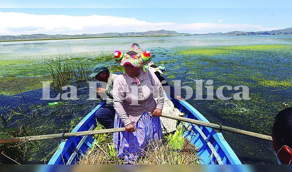 Orillas del titcaca. Reciben las aguas contaminadas del río Coata. No solo afecta a la flora y fauna, también a la población. Fotos: Juan Carlos Cisneros.