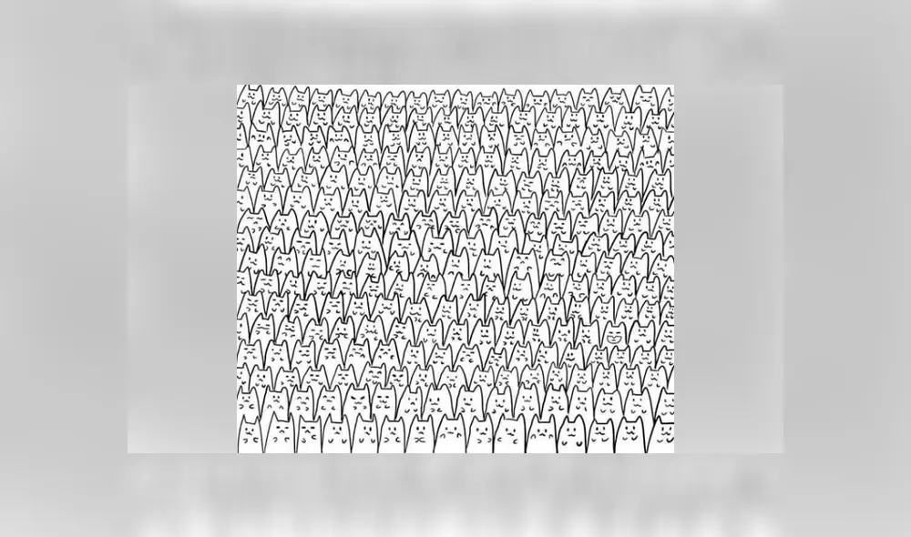 Intenta superar este reto visual en el que muy poco han tenido éxito. Foto: Facebook. Intenta superar este reto visual en el que muy poco han tenido éxito. Foto: Facebook.