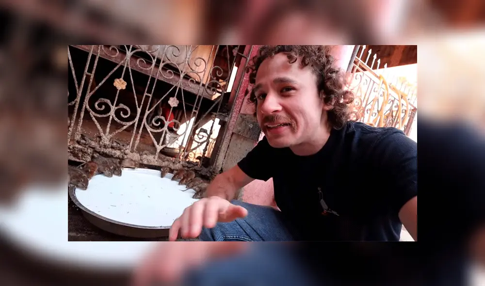 YouTube: ¿Conoces el 'Templo de las ratas' de la India? Aquí la sorprendente historia de este santuario