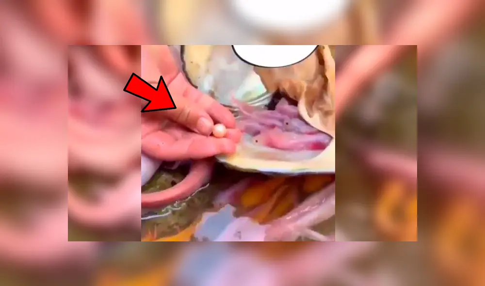 YouTube viral: navega misterioso lago y se topa con nido de criaturas acuáticas que cuidaban un ‘tesoro’ YouTube viral: navega misterioso lago y se topa con nido de criaturas acuáticas que cuidaban un ‘tesoro’