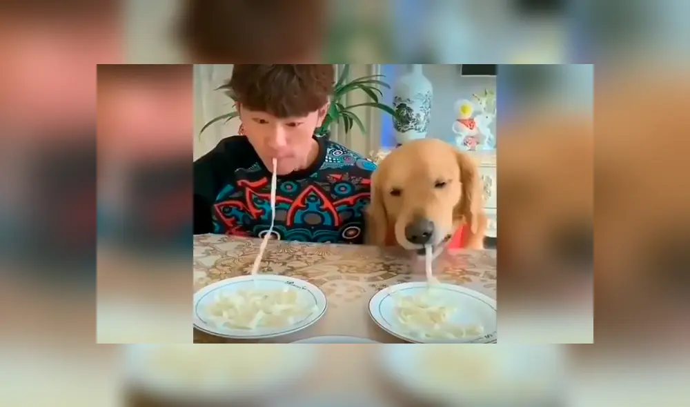 Desliza las imágenes para apreciar la competencia entre un joven y su perro al comer más rápido unos fideos. Foto: Captura. Desliza las imágenes para apreciar la competencia entre un joven y su perro al comer más rápido unos fideos. Foto: Captura.