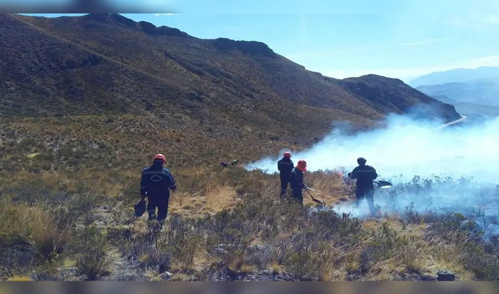 Anciano muere calcinado en incendio forestal en Caylloma