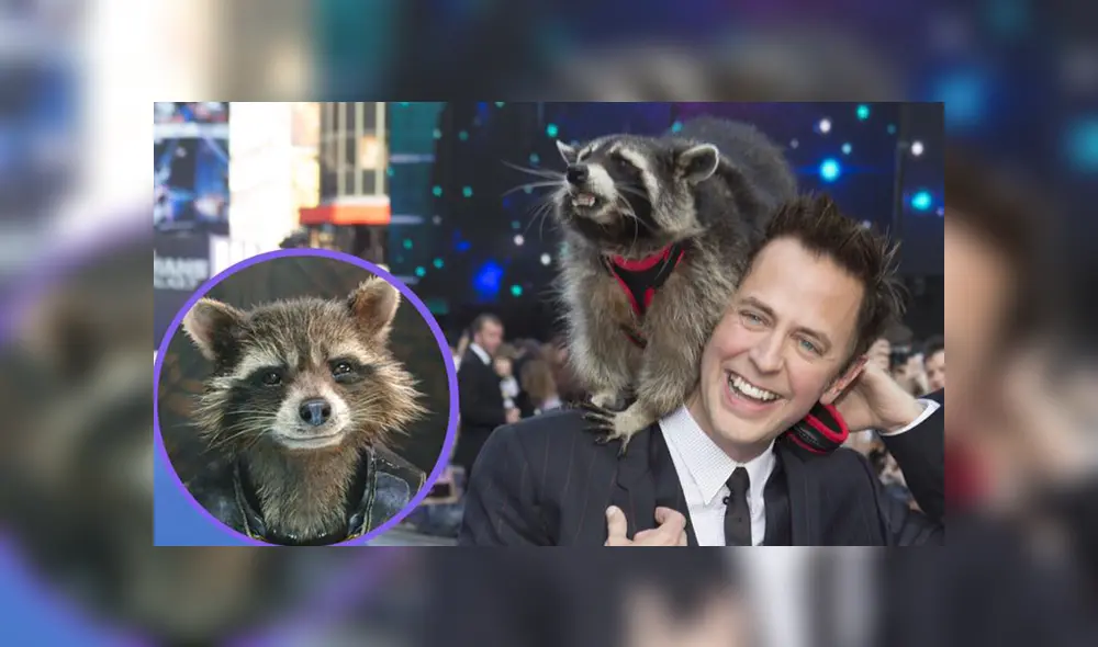 Falleció Oreo, el mapache que sirvió de modelo para crear a Rocket Racoon