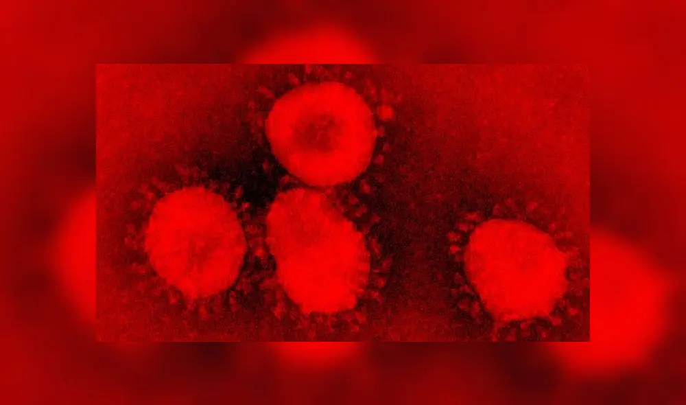 Coronavirus y secuencia genética