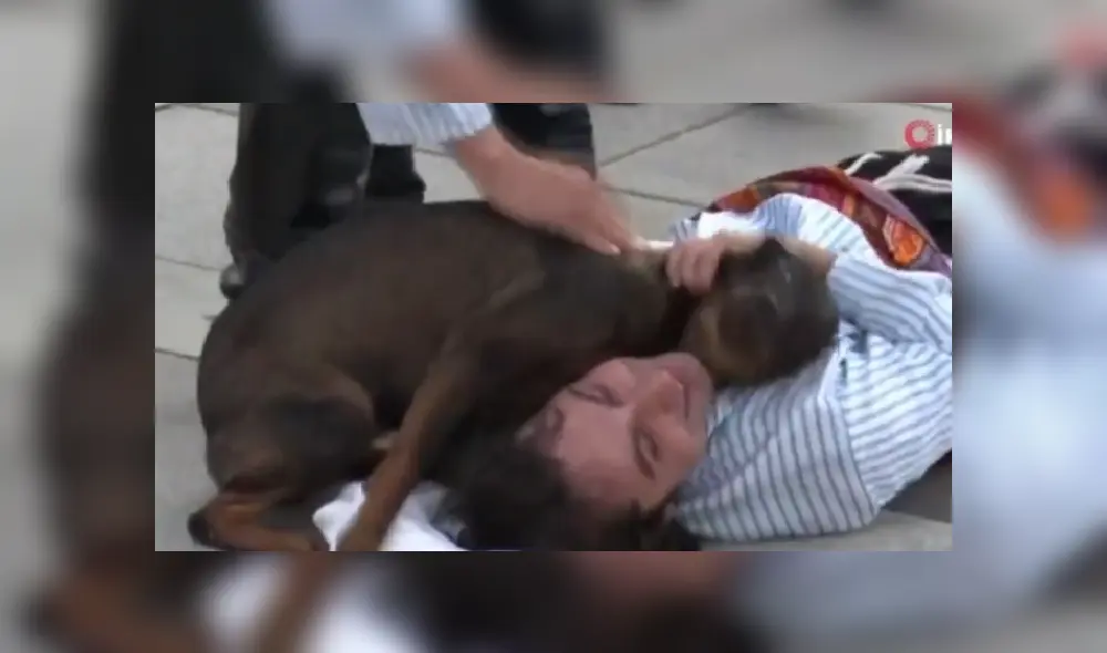 Desliza hacia la izquierda para ver más imágenes del noble gesto que tuvo este perro callejero. (Foto: captura / YouTube) Desliza hacia la izquierda para ver más imágenes del noble gesto que tuvo este perro callejero. (Foto: captura / YouTube)