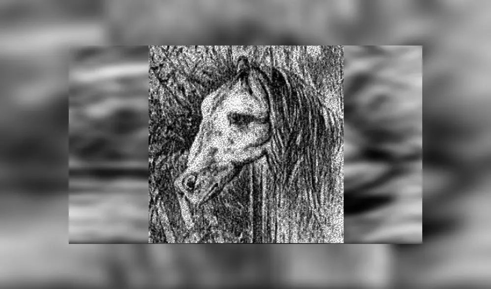 Desliza las imágenes hacia la izquierda para conocer la respuesta correcta del reciente ‘challenge’ de Facebook. Foto: Milenio. Desliza las imágenes hacia la izquierda para conocer la respuesta correcta del reciente ‘challenge’ de Facebook. Foto: Milenio.