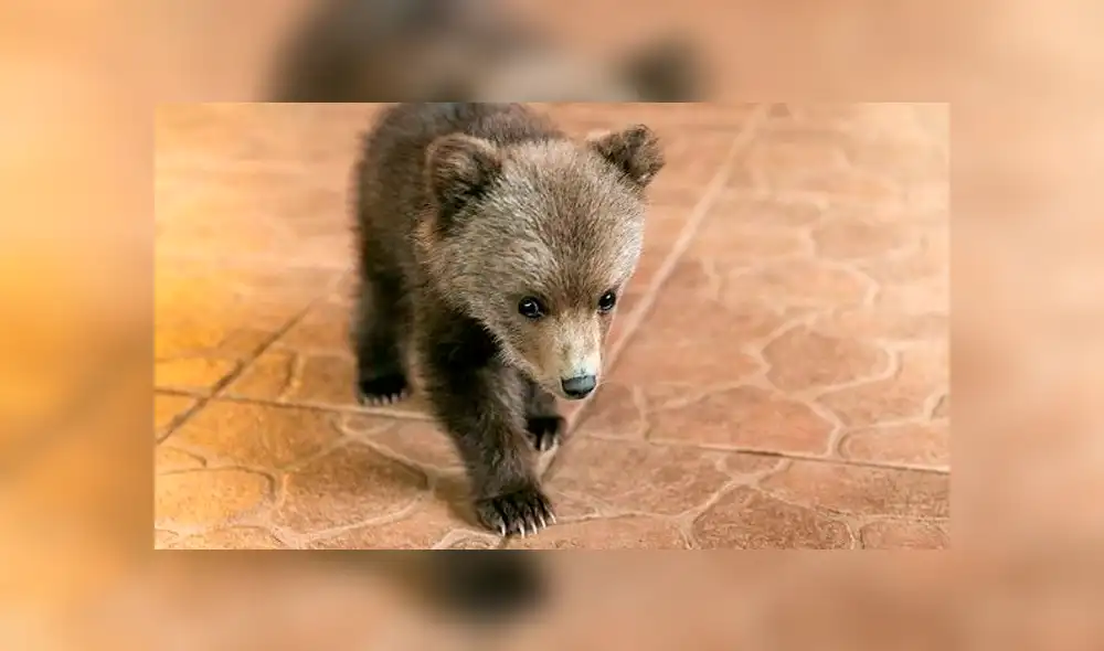 Desliza la imagen de Facebook para ver todas las conmovedoras fotos. Desliza la imagen de Facebook para ver todas las conmovedoras fotos.