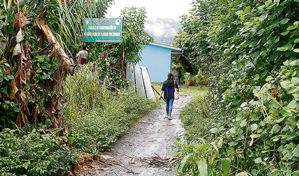 Abogado defensor de fujimorista ahora es juez que resolverá su caso