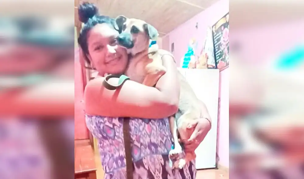 Desliza las imágenes para conocer el final feliz que consiguió una perrita llamada Cati tras ser adoptada. Foto: Misiones Online/ Referencial Desliza las imágenes para conocer el final feliz que consiguió una perrita llamada Cati tras ser adoptada. Foto: Misiones Online/ Referencial