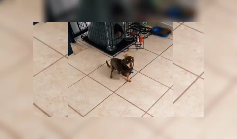 Desliza hacia la izquierda para ver más del video viral.